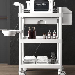 Multi-Functional Spa & Beauty Salon Rolling Cart, mobile hand push cart